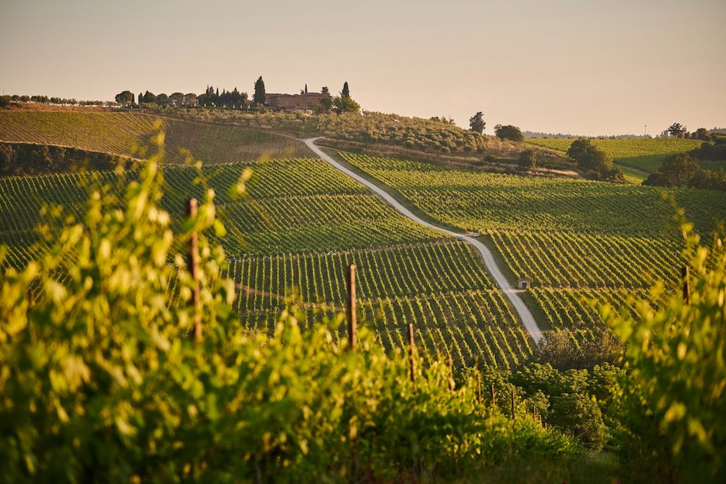 Dal Lago di Garda: Degustazione di vini Valpolicella